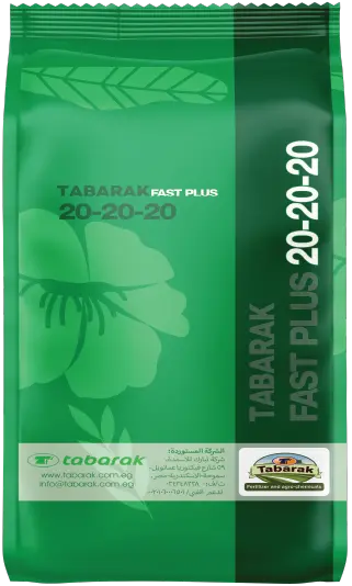 Tabarak Fast Plus 20-20-20