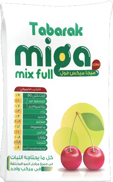 Mega Mix Full