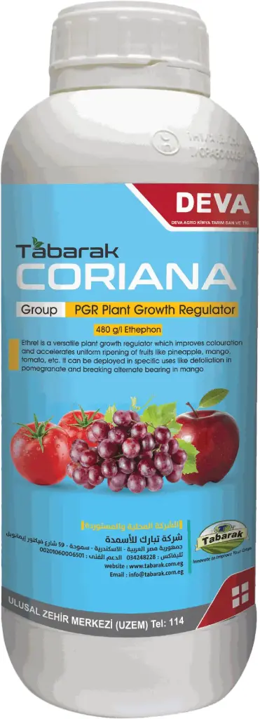 Coriana 480
