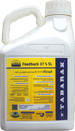Feedback 37% SL