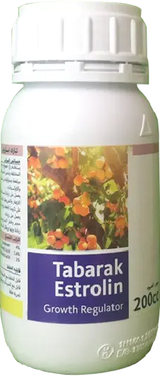 Tabarak Estrolin
