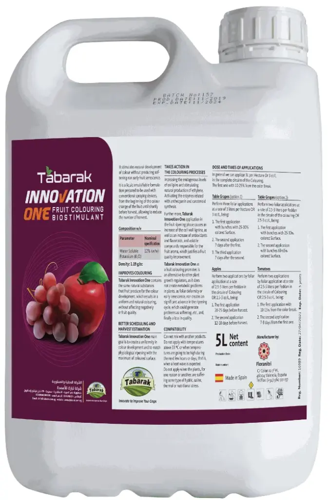 Tabarak Innovation One