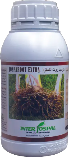 Jospa Root Extra