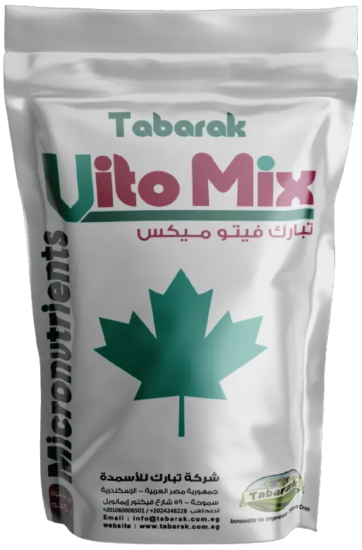 Tabarak Vito Mix
