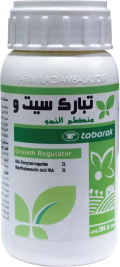 Tabarak Syto