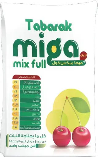 Mega Mix Full