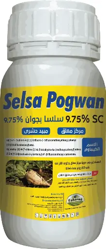Selsa Pogwan 9.75%