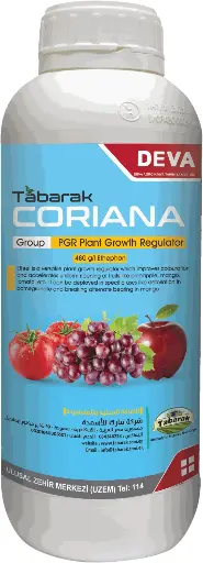 Coriana 480
