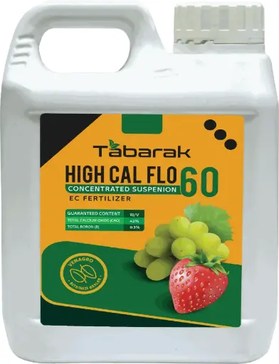 Tabarak High Cal Flo 60